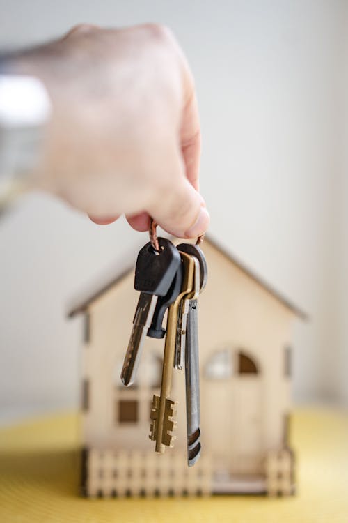 an individual holding a bunch of home keys